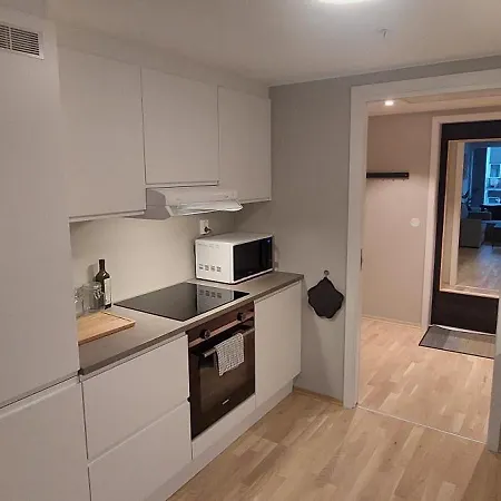 公寓 Bergen City Apartment