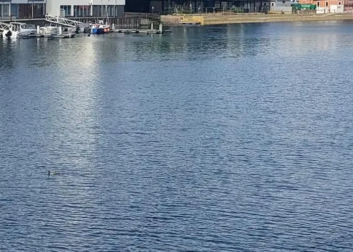 Bergen City Apartment 아파트 베르겐